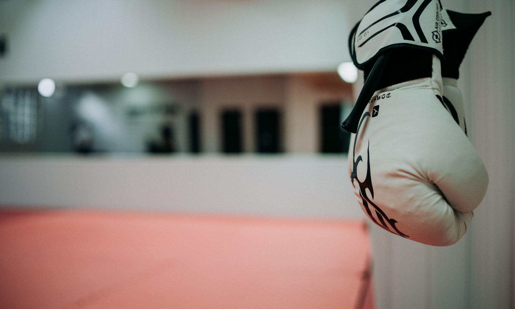 defesa pessoal santarém krav maga