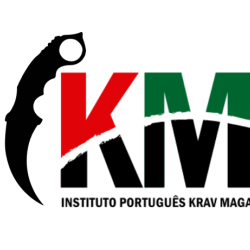 defesa pessoal santarém krav maga